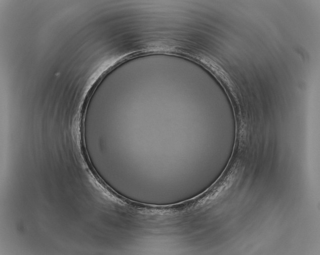 X0000115230941200911131640