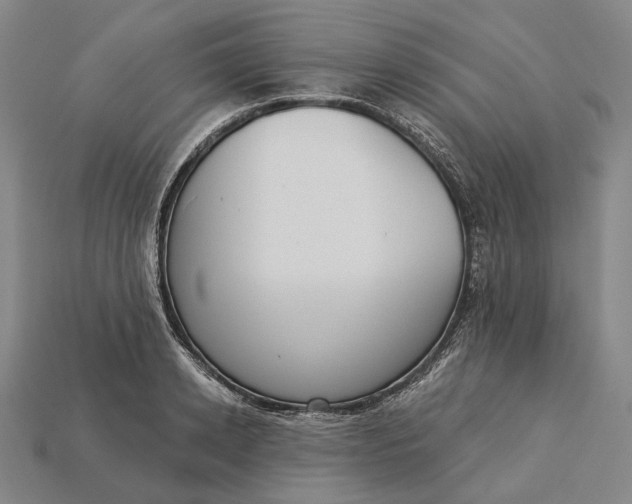 X0000115230942200911131640