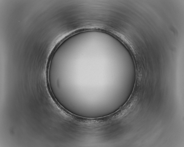 X0000115230943200911131640