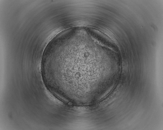 X0000115230946200911131641