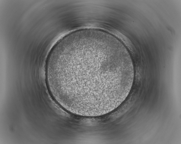 X0000115230950200911131641