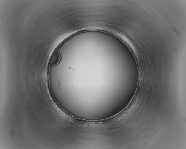 X0000115230951200911131641