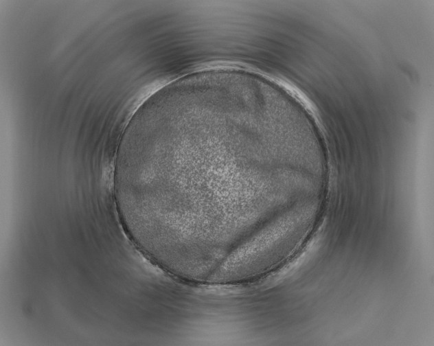 X0000115230953200911131641