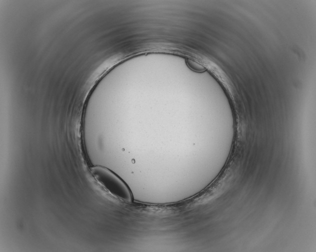 X0000115230954200911131641