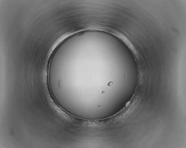 X0000115230955200911131641