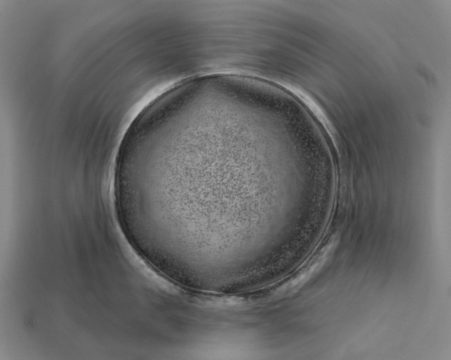 X0000115230957200911131641