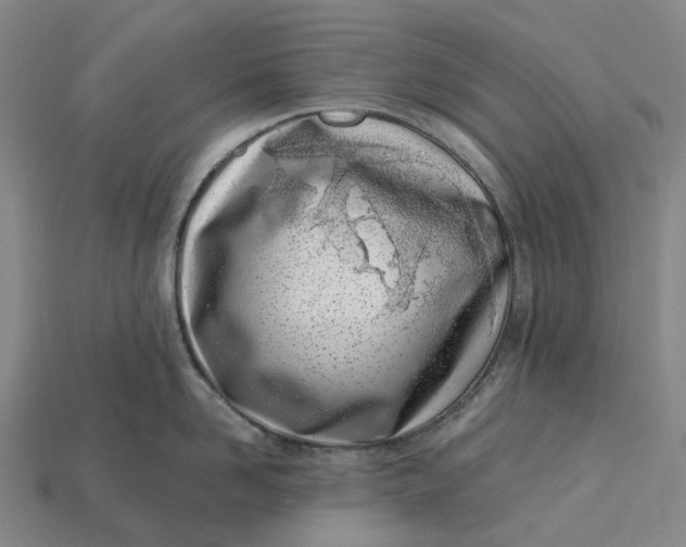 X0000115230958200911131641