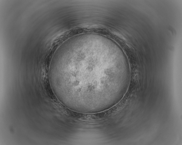 X0000115230966200911131640