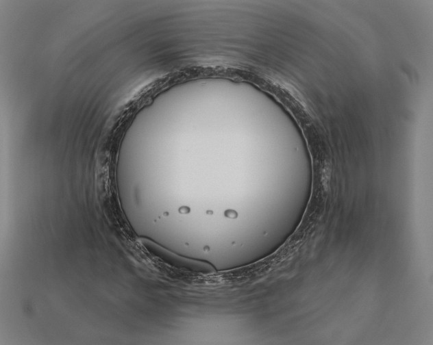 X0000115230968200911131640