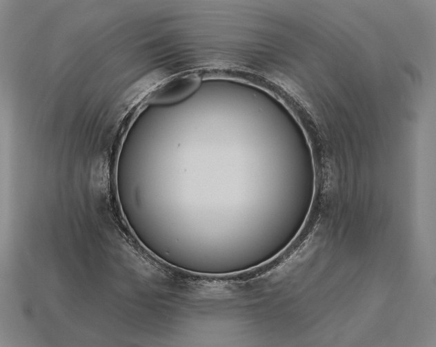 X0000115230969200911131640
