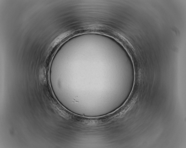 X0000115230970200911131640