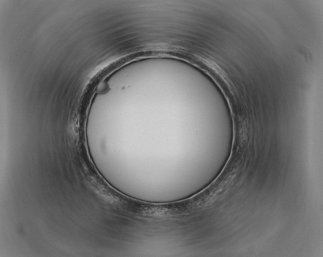 X0000115230971200911131640