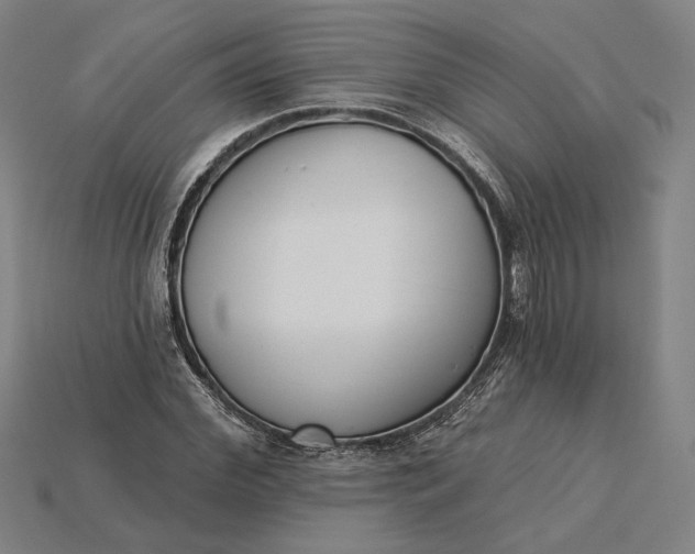 X0000115230972200911131640
