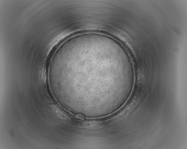 X0000115230973200911131640