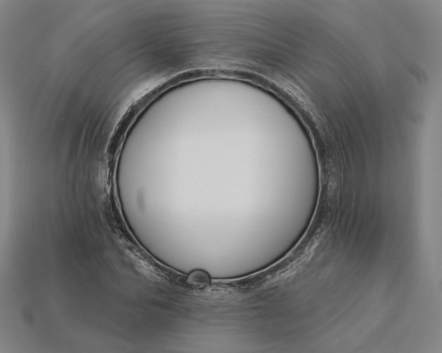 X0000115230974200911131640