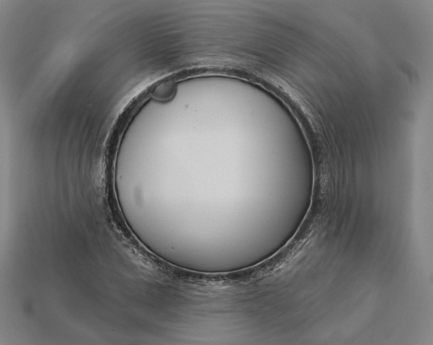 X0000115230975200911131640