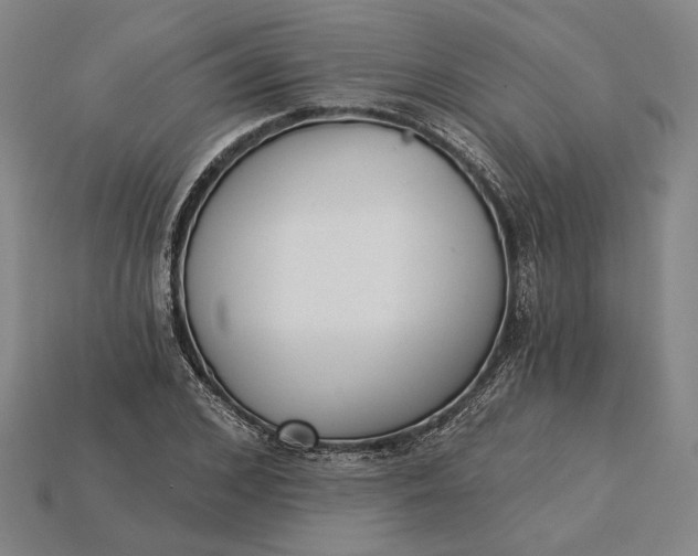 X0000115230976200911131640