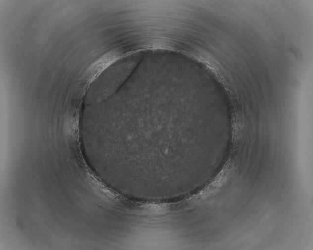 X0000115230977200911131640