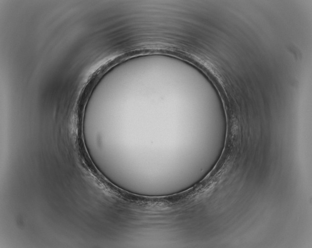 X0000115230979200911131640