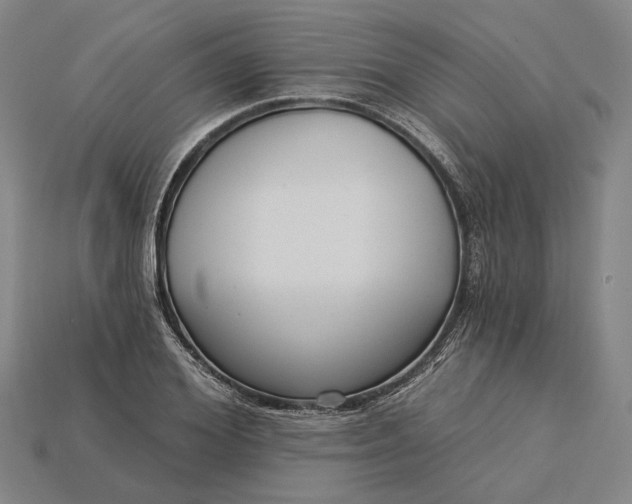 X0000115230980200911131640