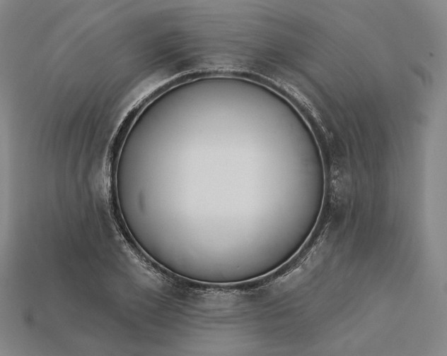 X0000115230981200911131640