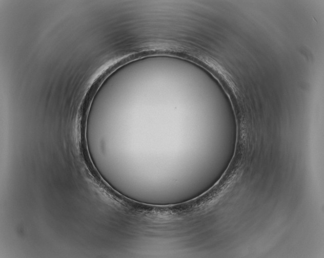 X0000115230983200911131640