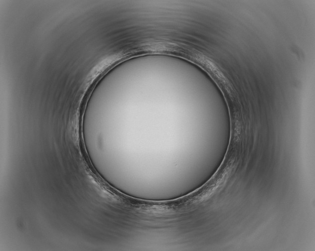 X0000115230986200911131640