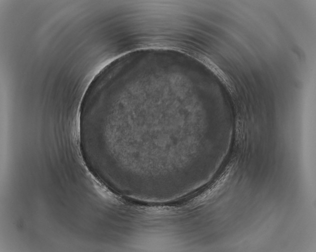 X0000115230988200911131640