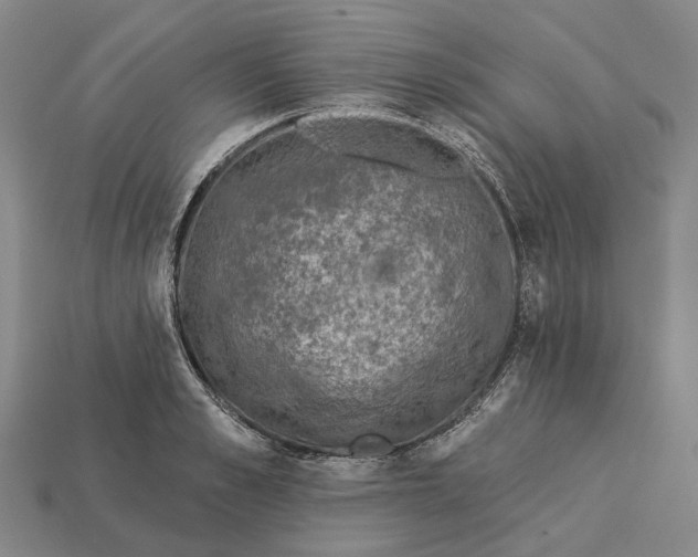 X0000115230989200911131640