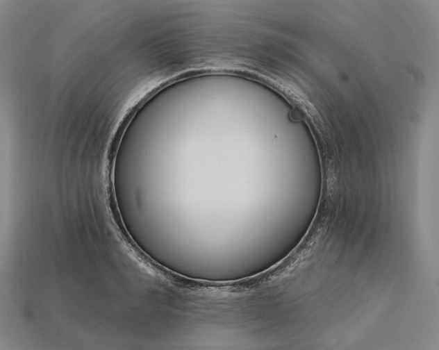 X0000115230990200911131640