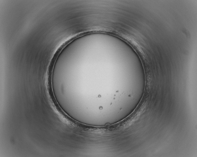 X0000115230991200911131640