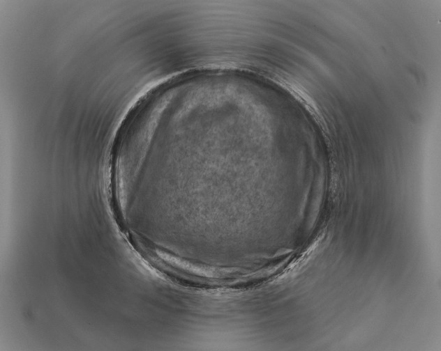 X0000115230992200911131640