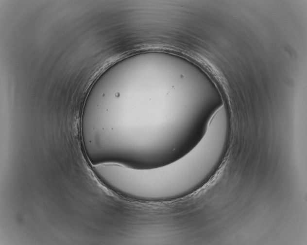 X0000115230993200911131640
