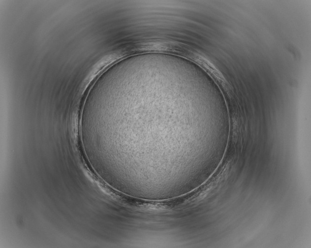 X0000115230994200911131640