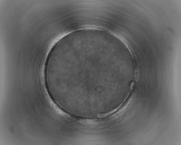 X0000115230995200911131640