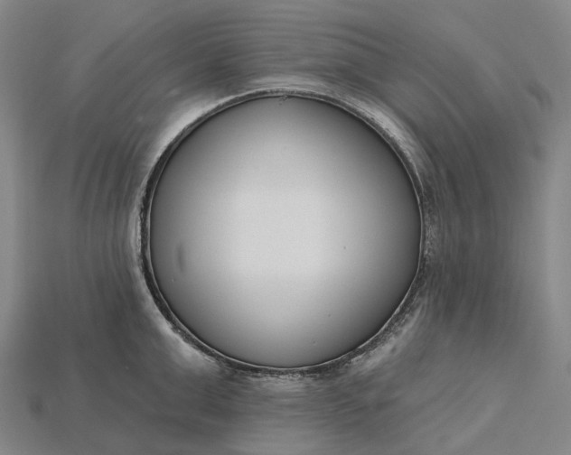 X0000115230999200911131640