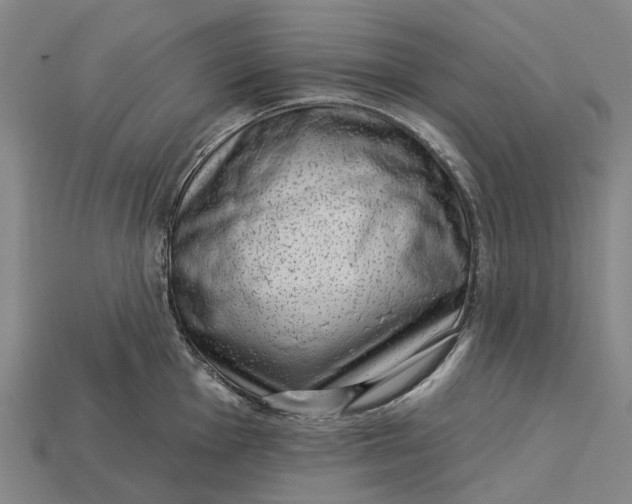 X0000115231001200911131640