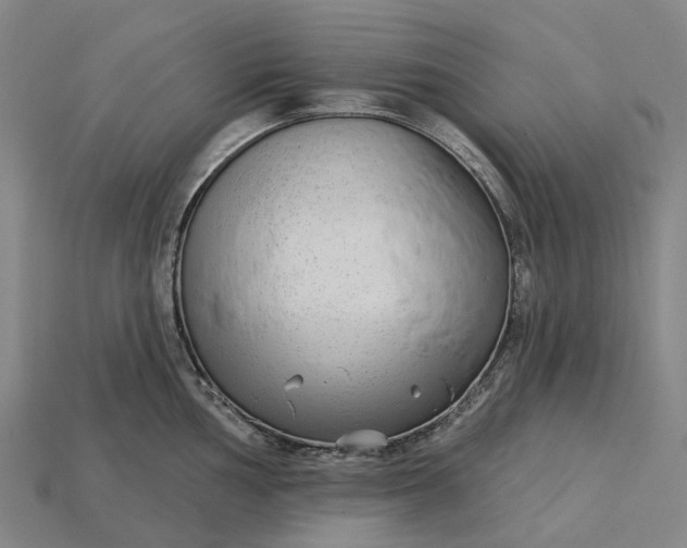 X0000115231002200911131640