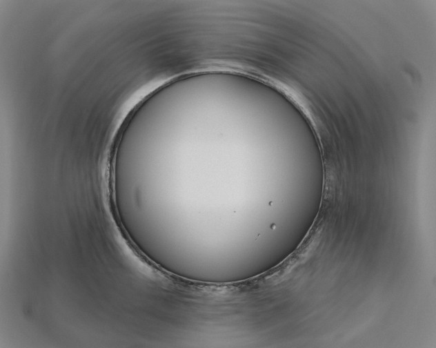 X0000115231003200911131640