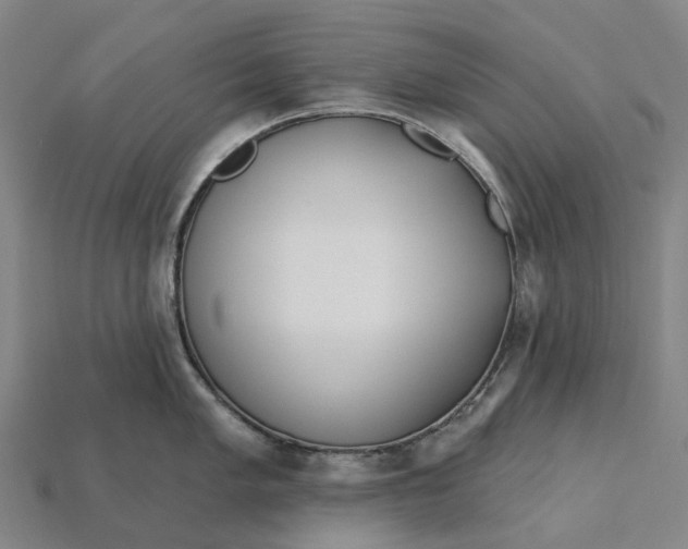 X0000115231005200911131640