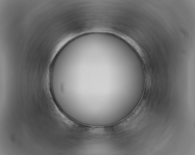 X0000115231006200911131640