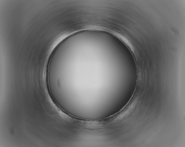 X0000115231007200911131640
