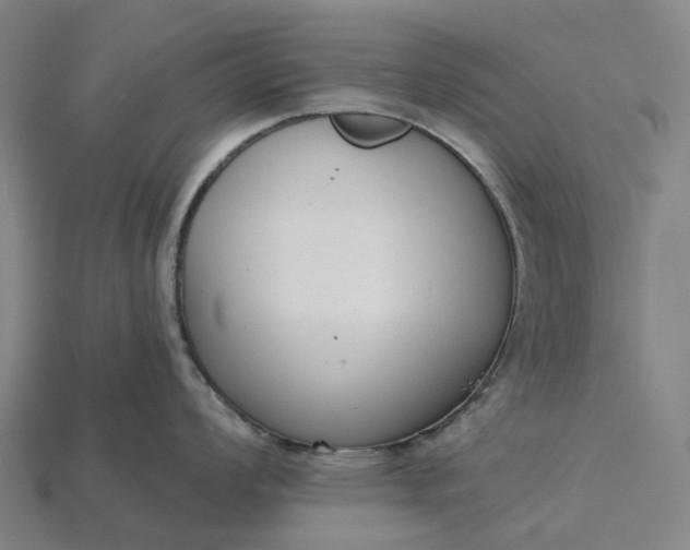 X0000115231008200911131639