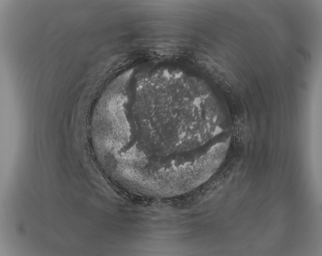 X0000115231009200911131639