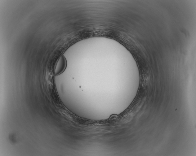 X0000115231010200911131639