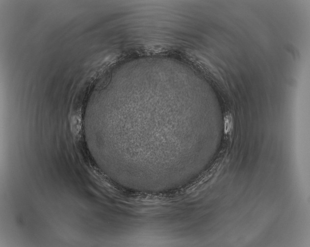 X0000115231011200911131639