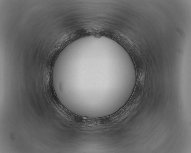 X0000115231012200911131639