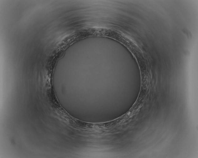 X0000115231013200911131639