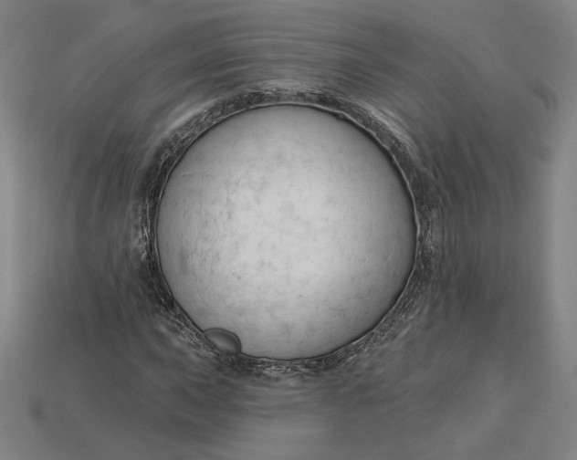 X0000115231015200911131639