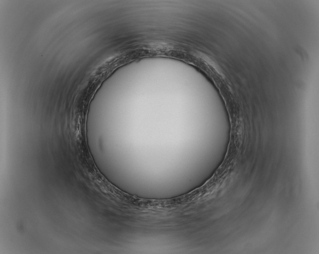 X0000115231016200911131639